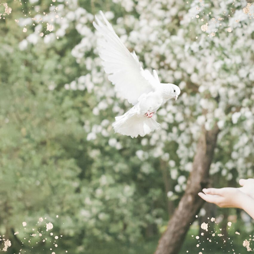 Katie-Brooke-Soul-Speak-Unfolding-in-Love